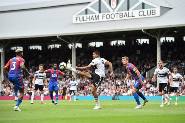 仍在进行康 仍在进行康