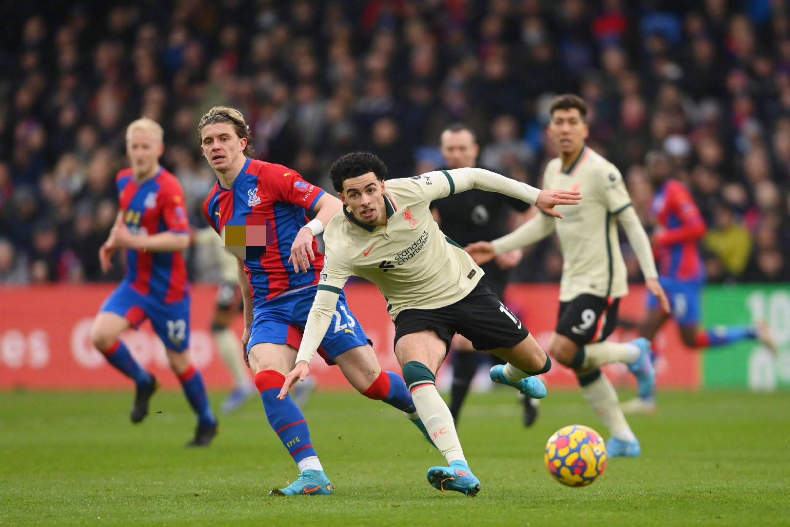 的重要支柱 的重要支柱